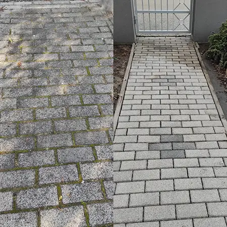 terko_tisztitas_gal04