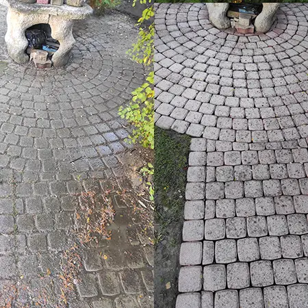 terkotisztitas_gal02